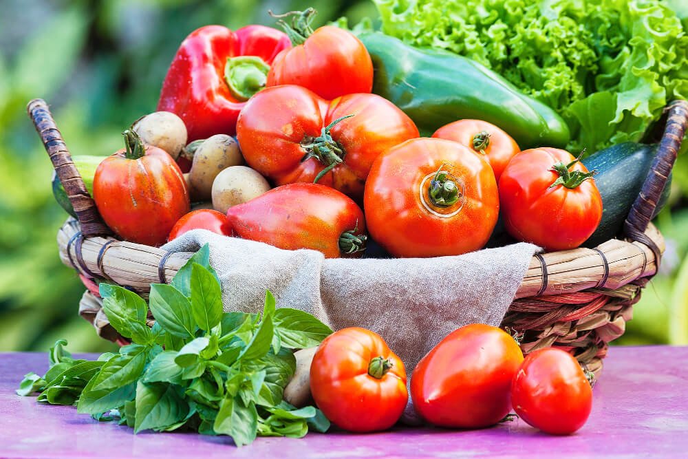 Basket full of freshly harvested vegetables